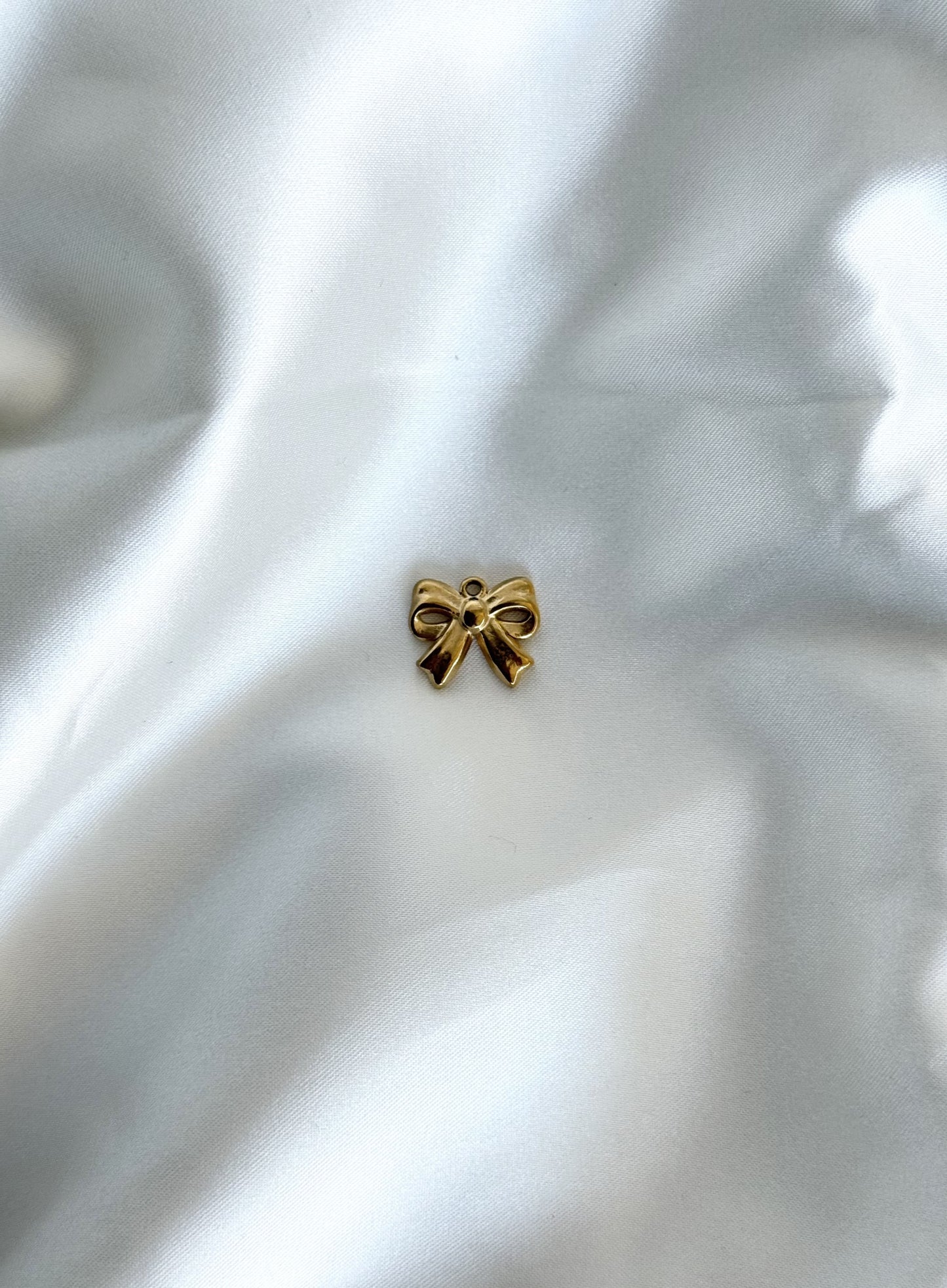 109| Charm acier inoxydable