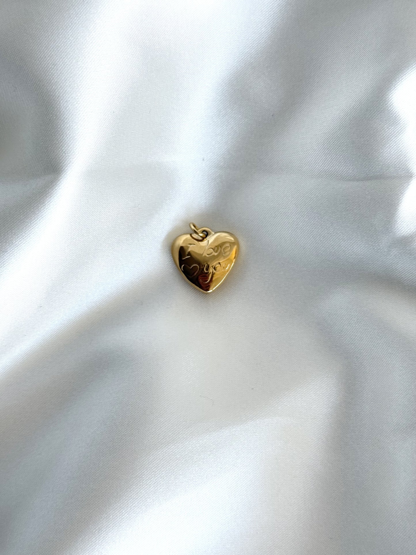 111| Charm acier inoxydable