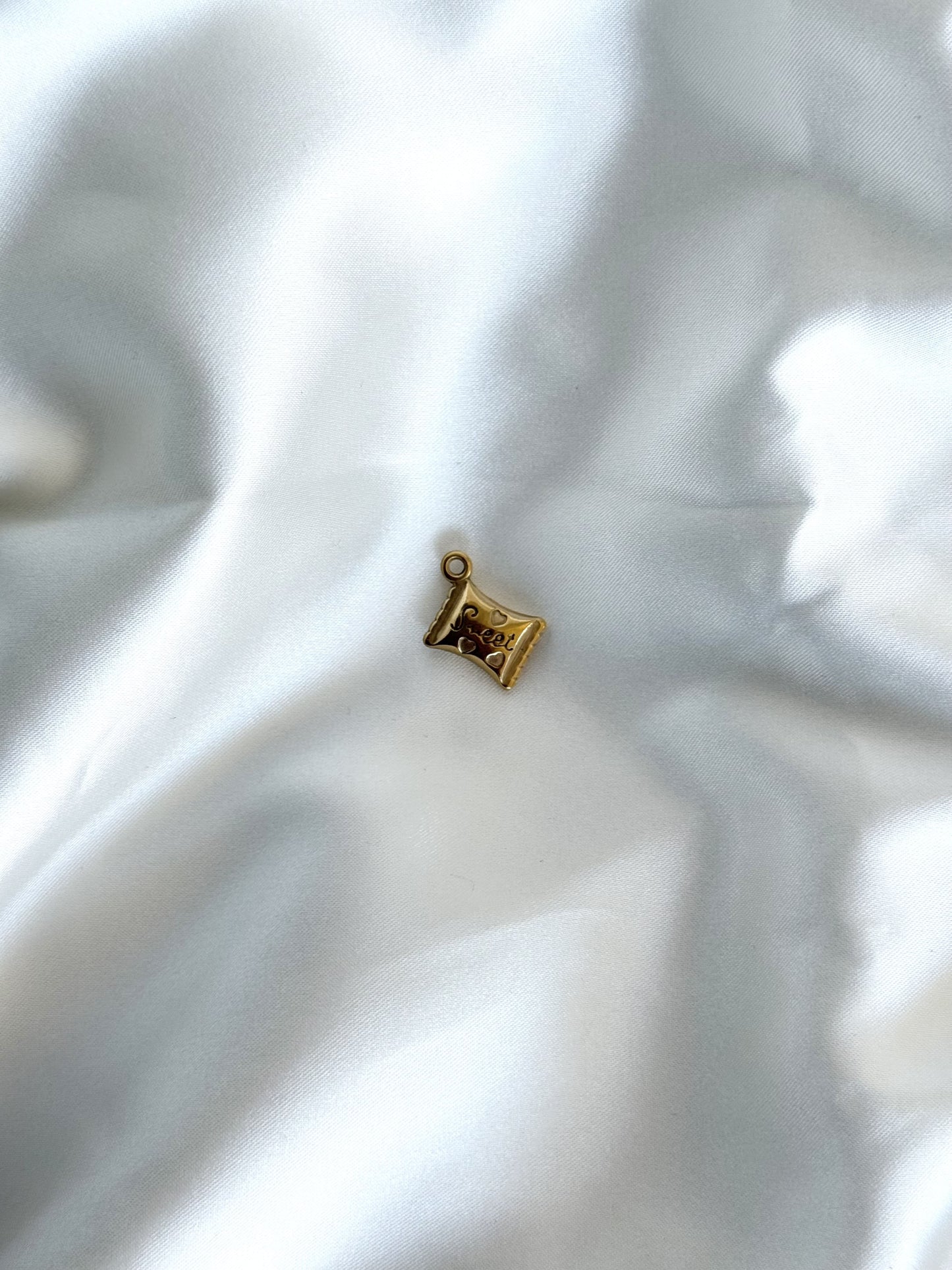 113| Charm acier inoxydable