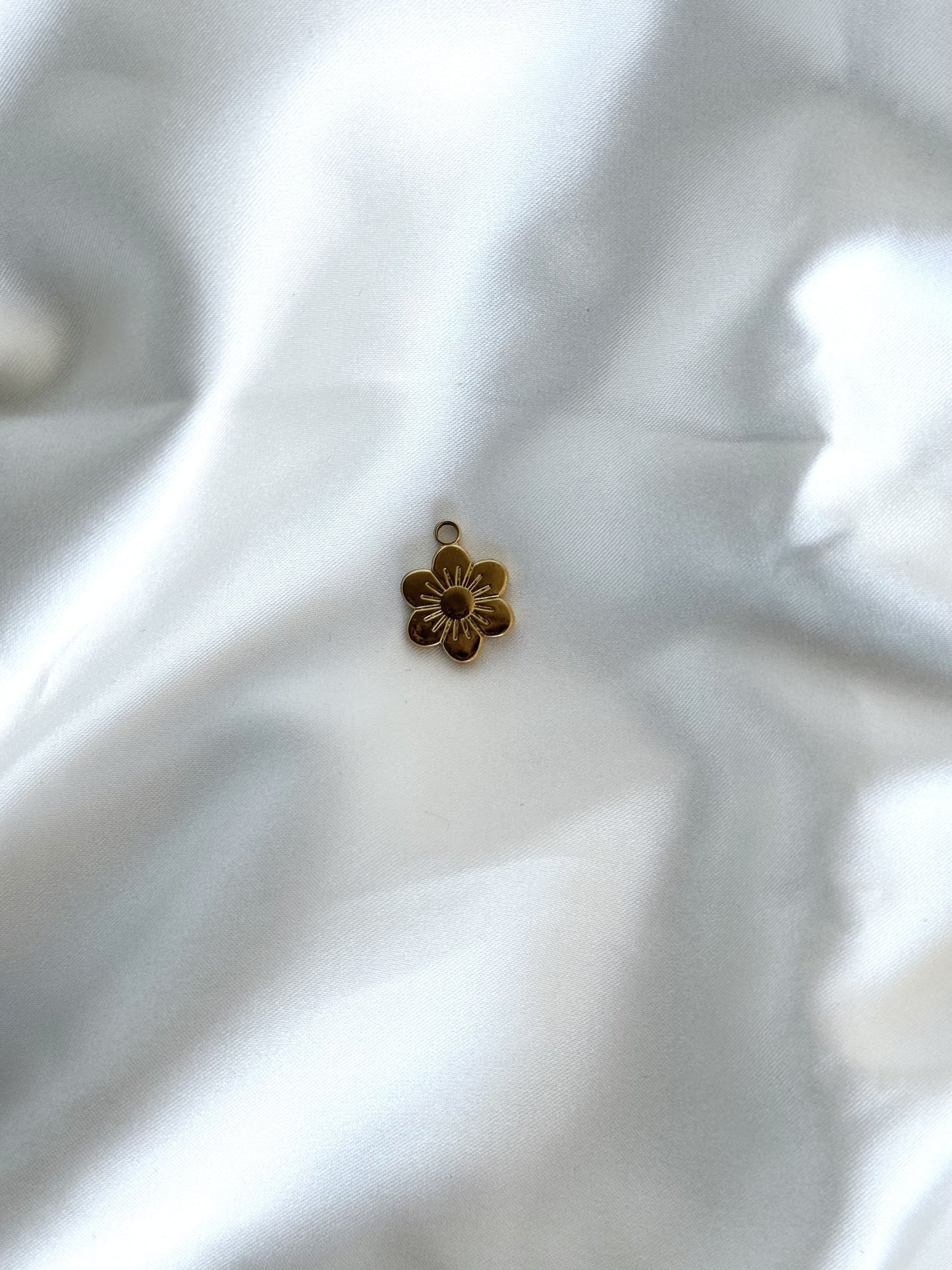 114| Charm acier inoxydable