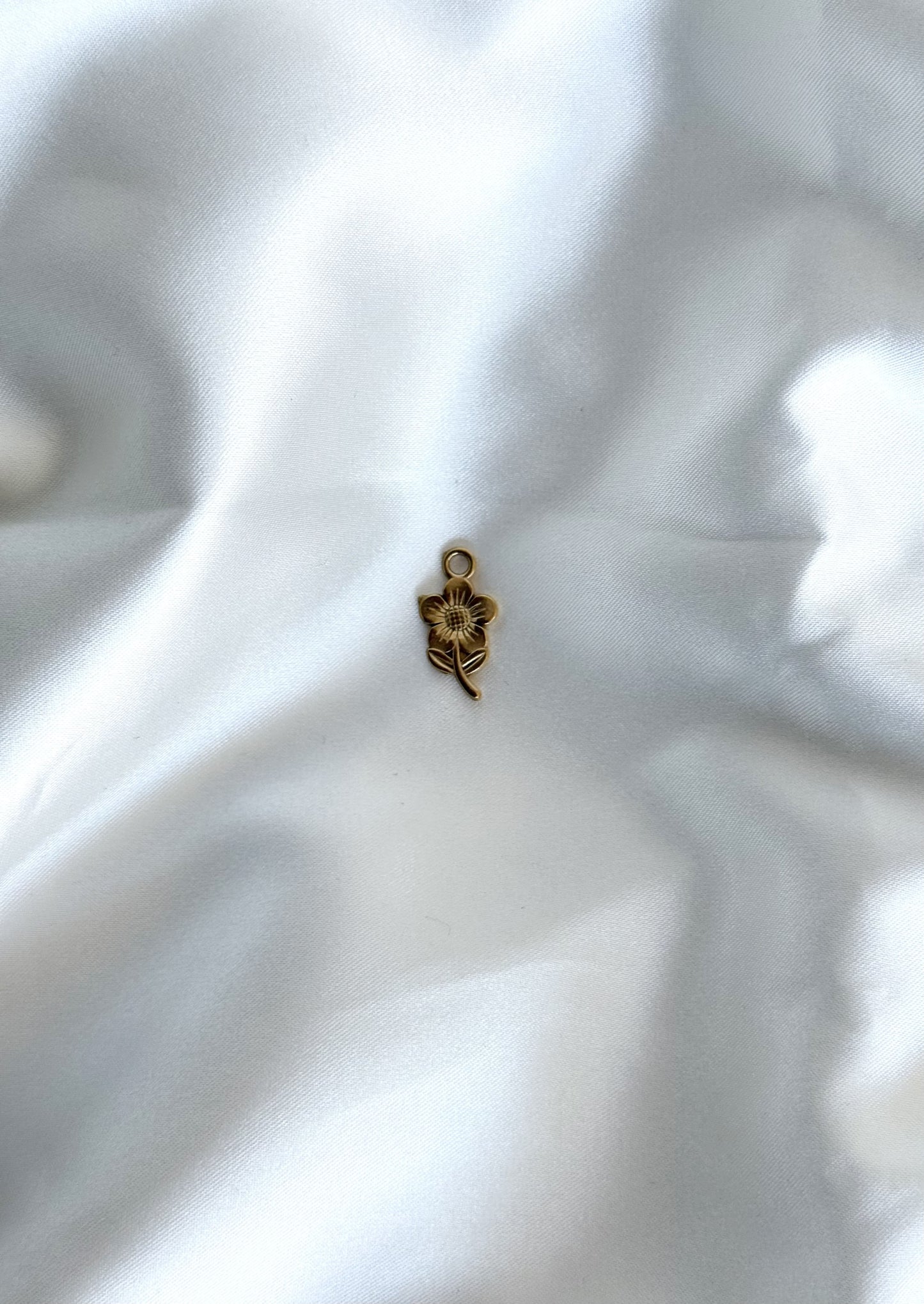 115| Charm acier inoxydable