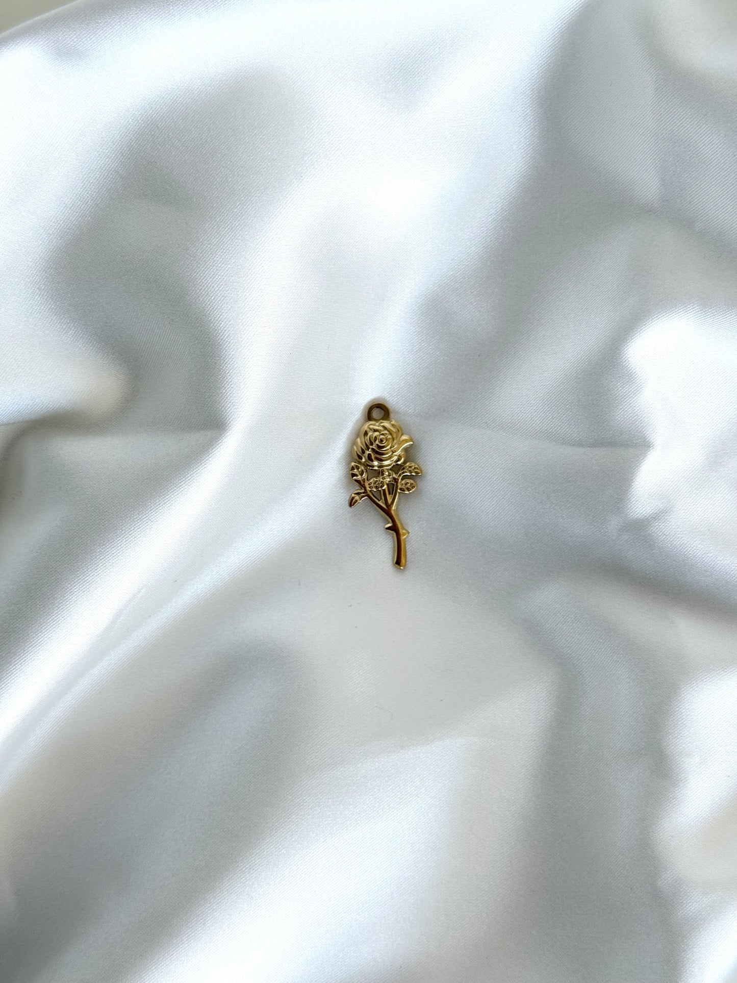 116| Charm acier inoxydable