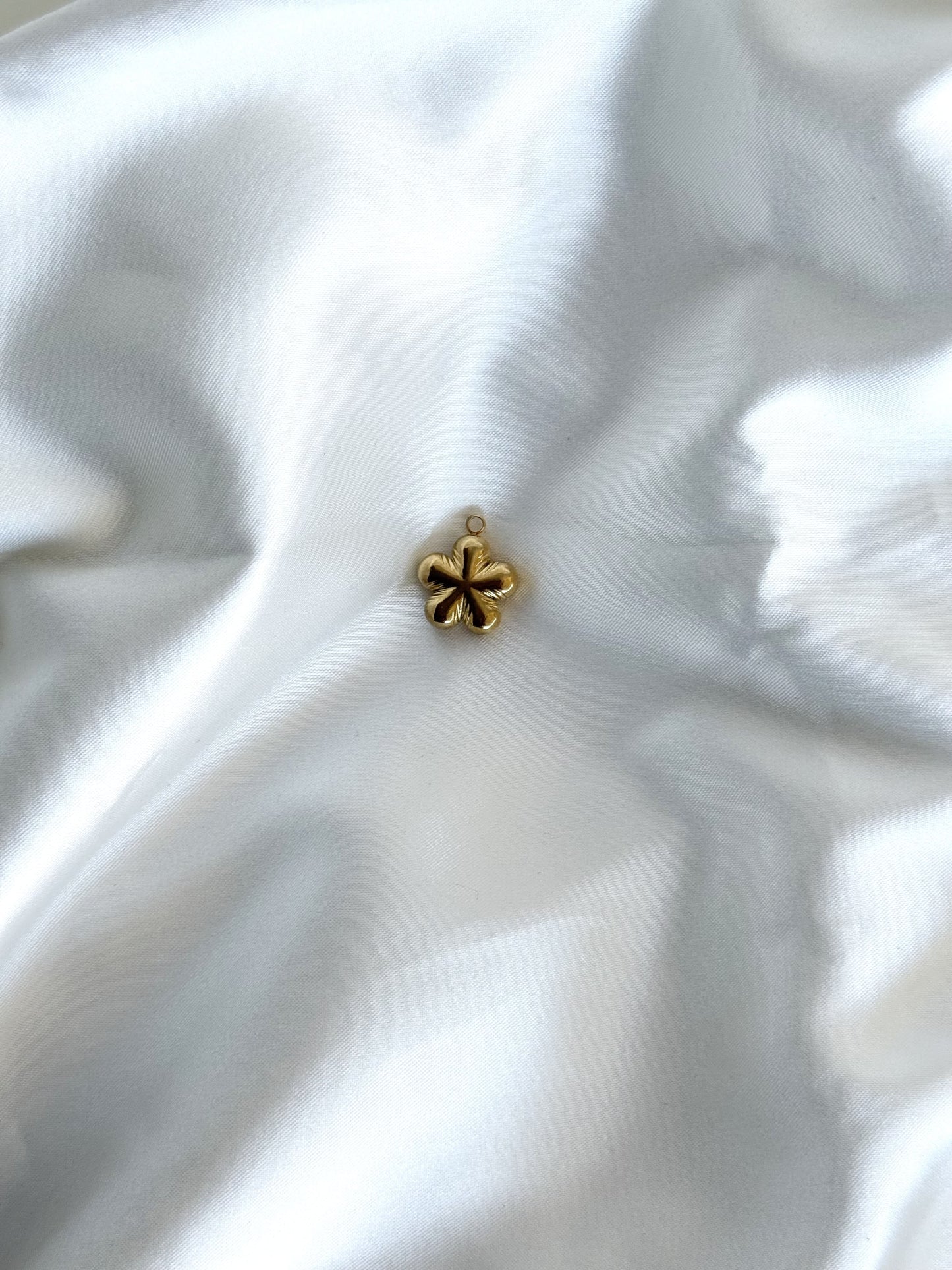 117| Charm acier inoxydable