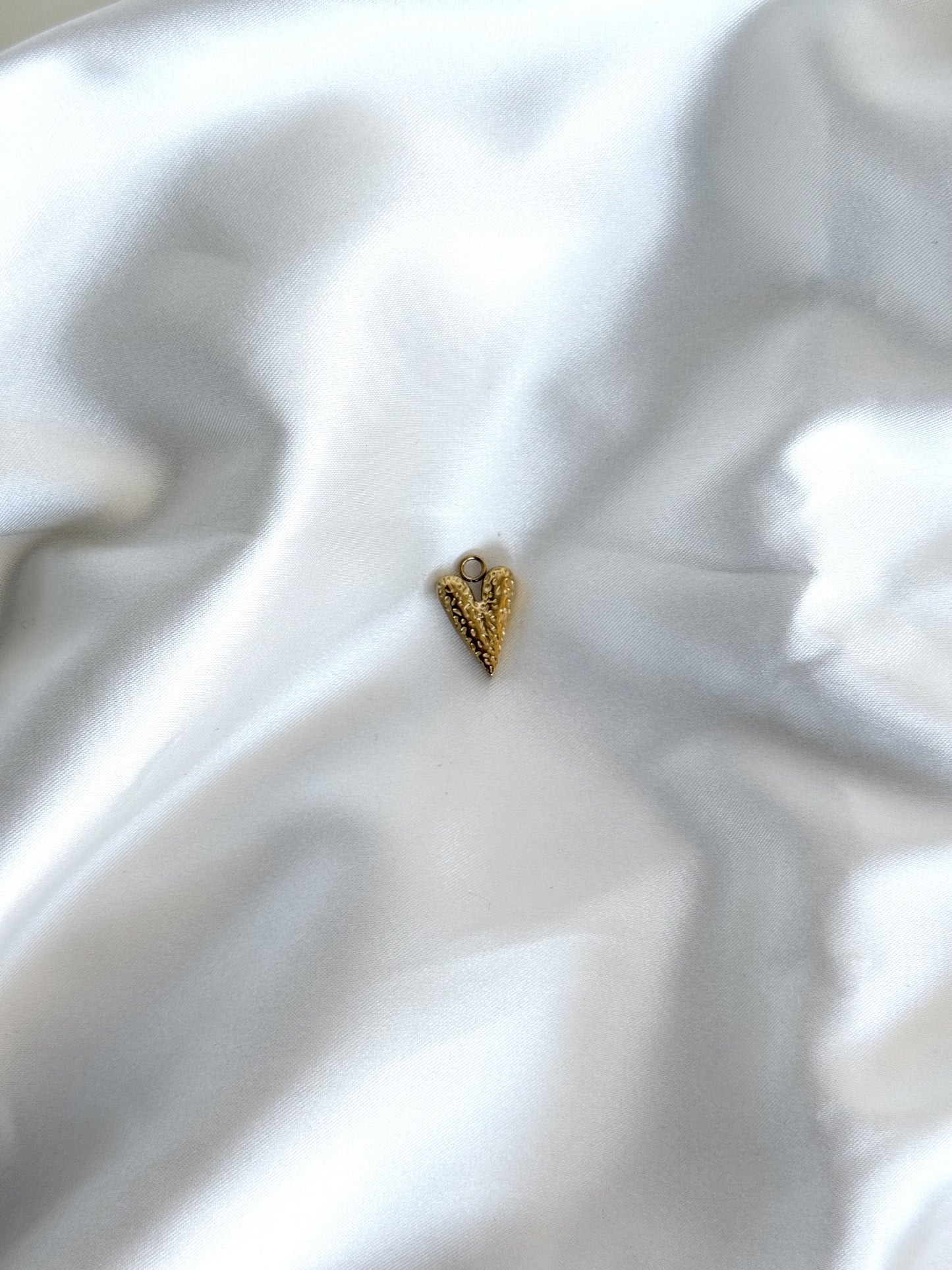 118| Charm acier inoxydable