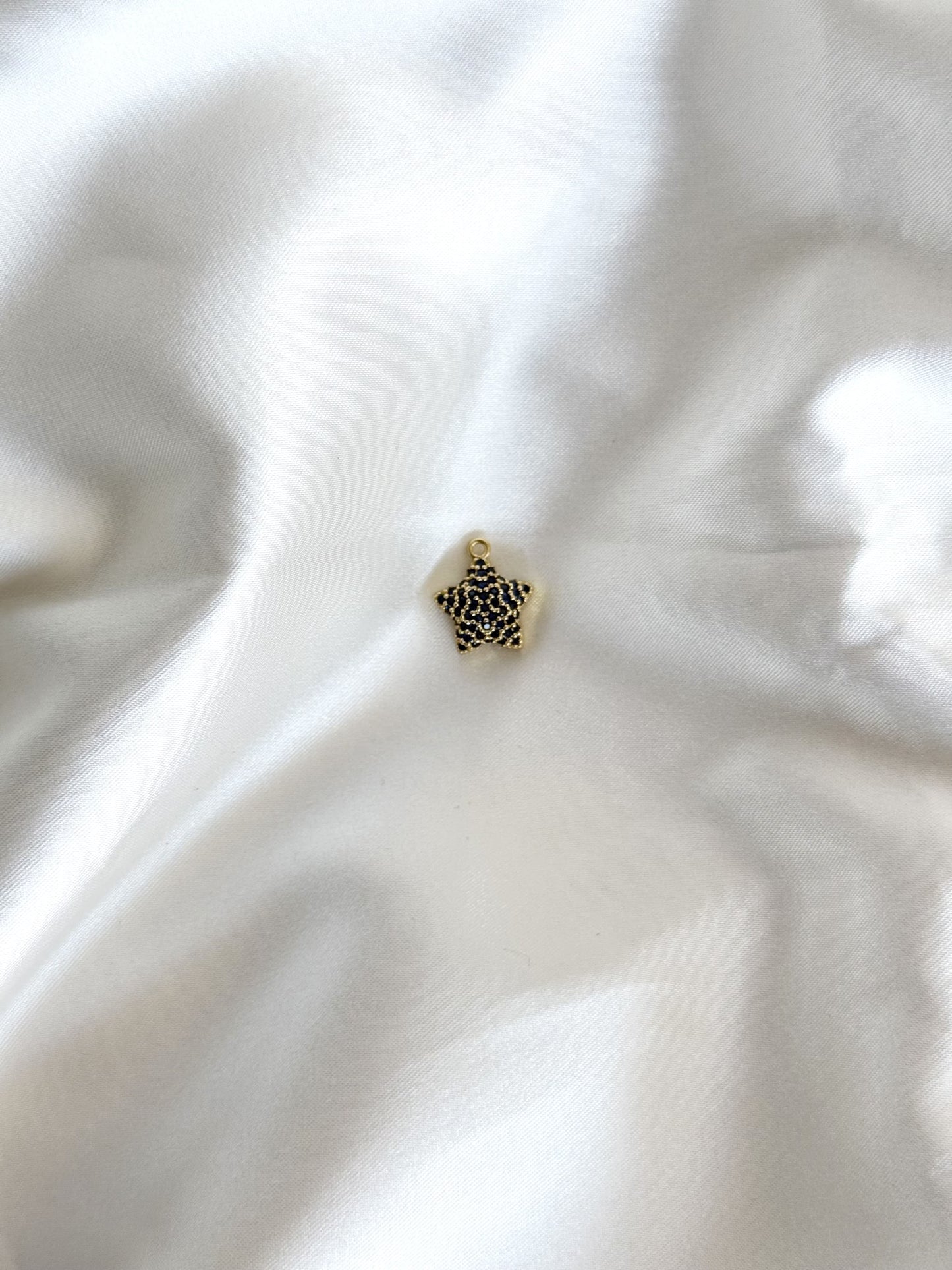 124| Charm acier inoxydable