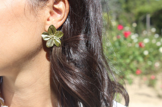 DALIA|Boucles d'oreilles acier inoxydable