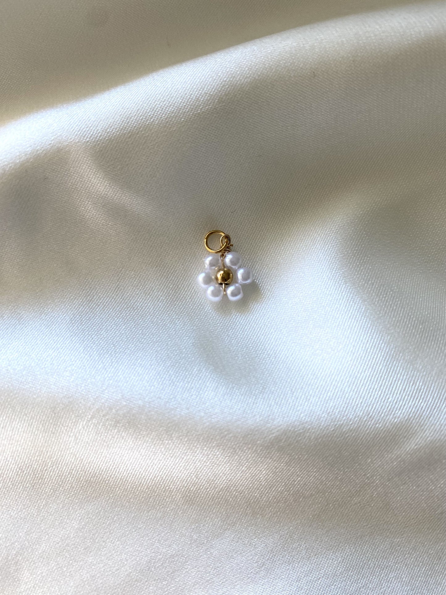 13| Charm acier inoxydable