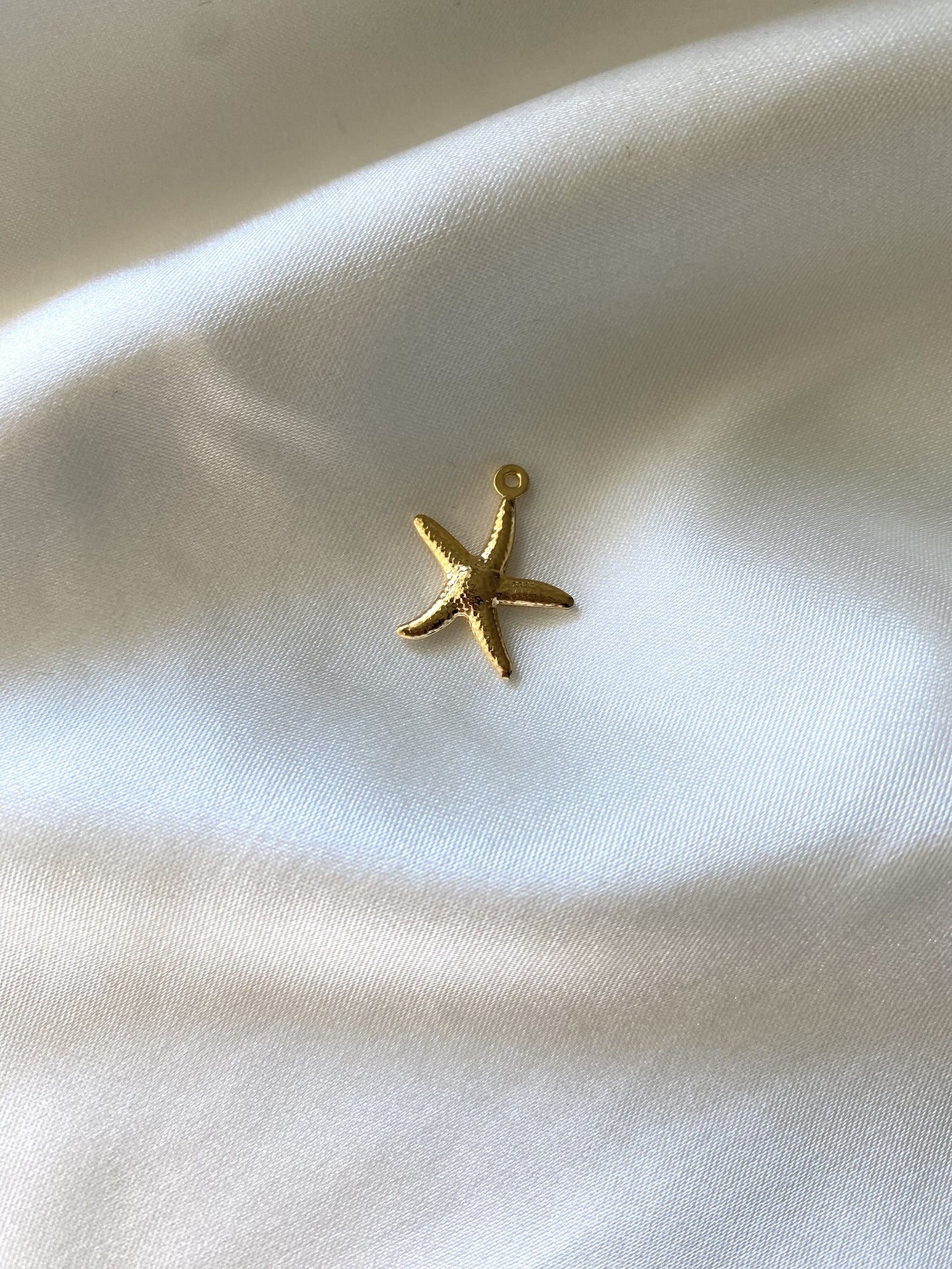 3| Charm acier inoxydable