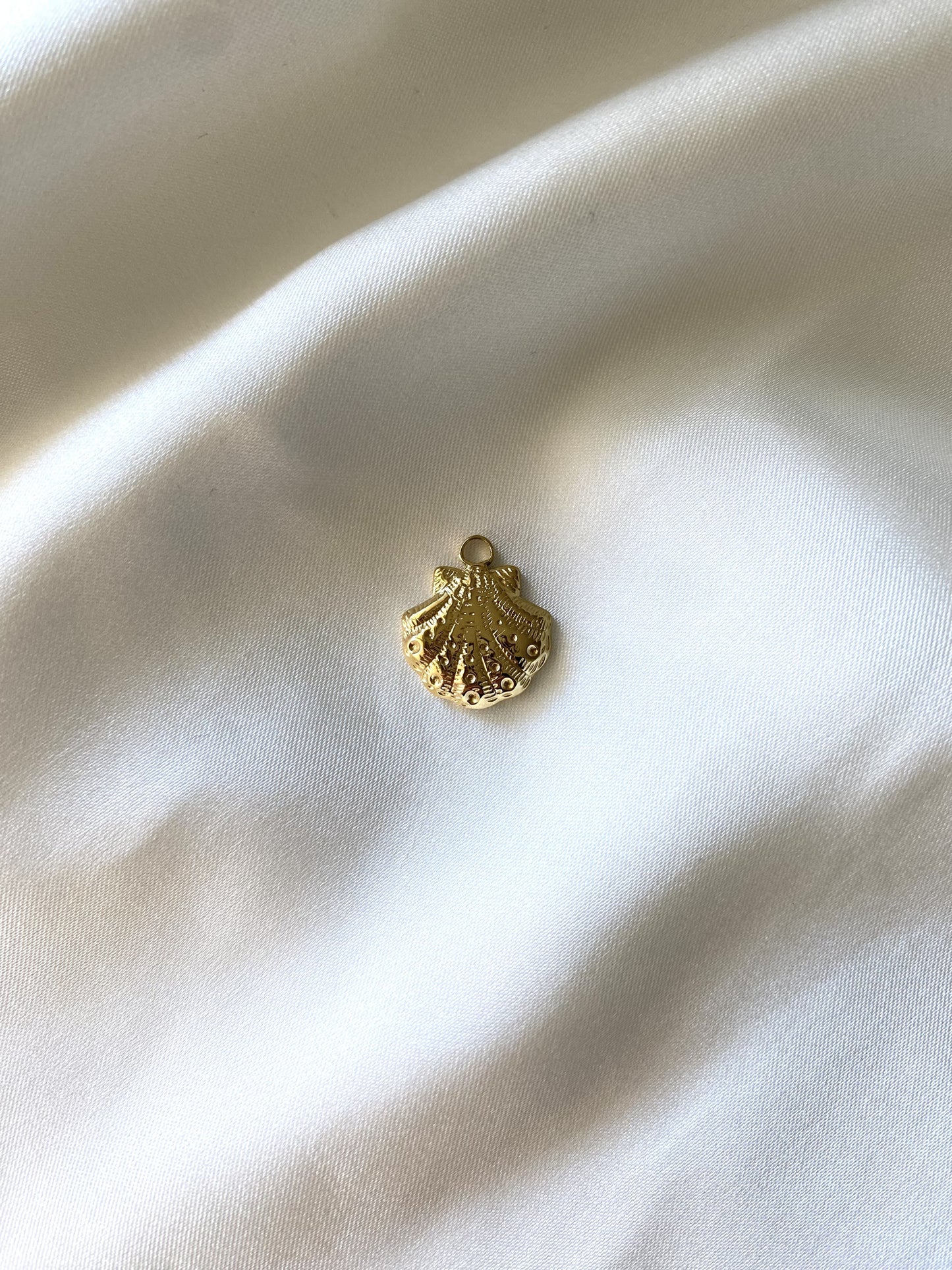 37| Charm acier inoxydable