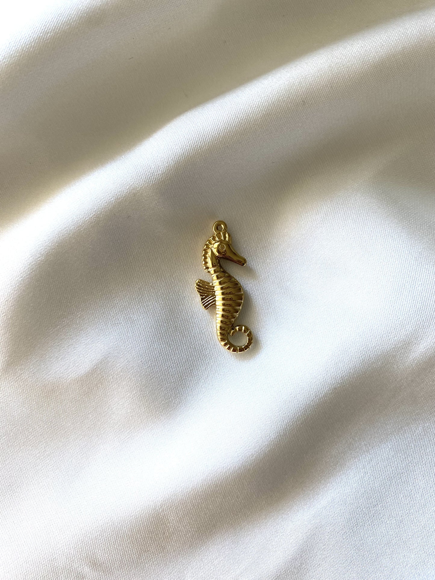 2| Charm acier inoxydable