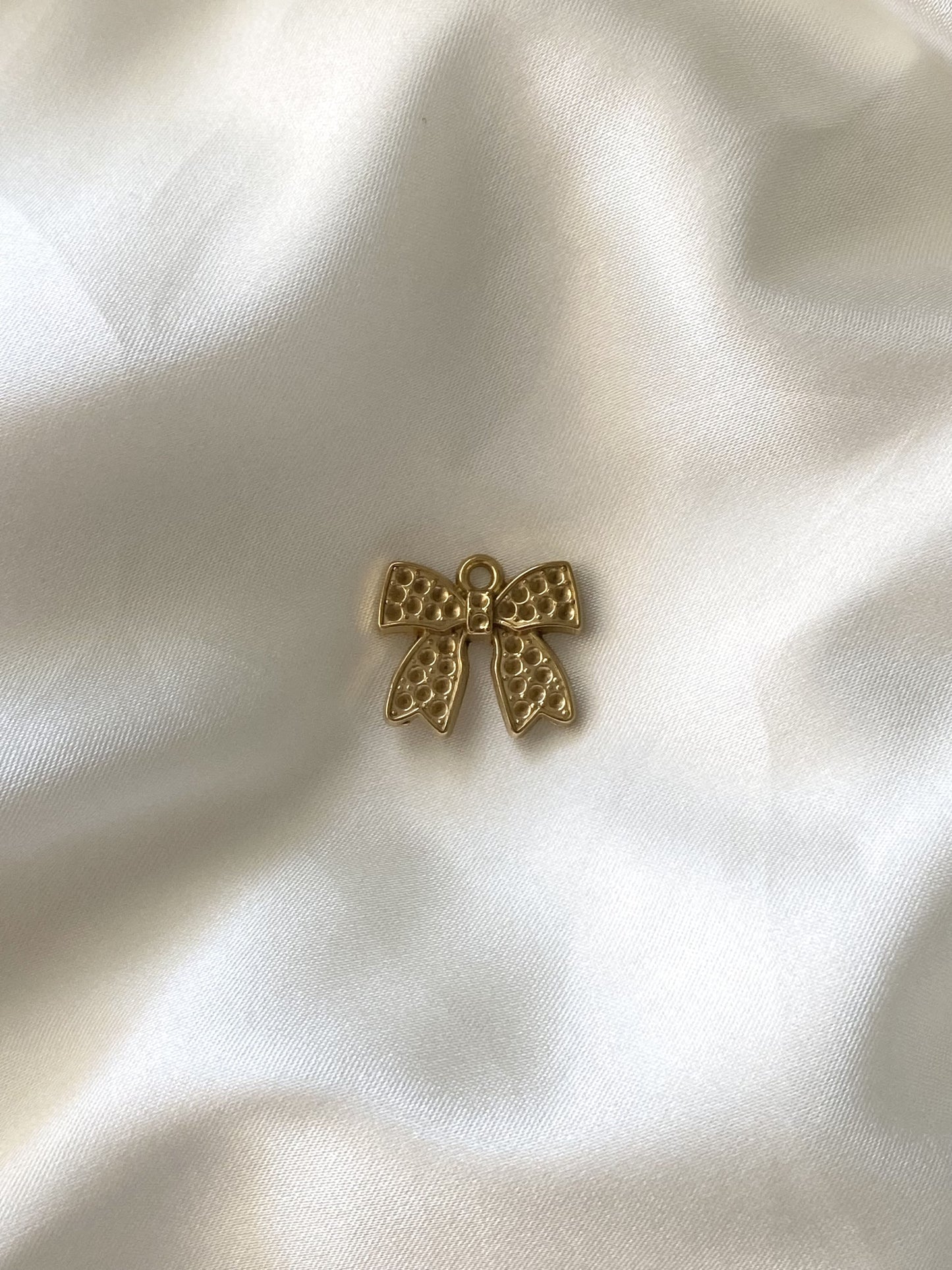 45| Charm acier inoxydable
