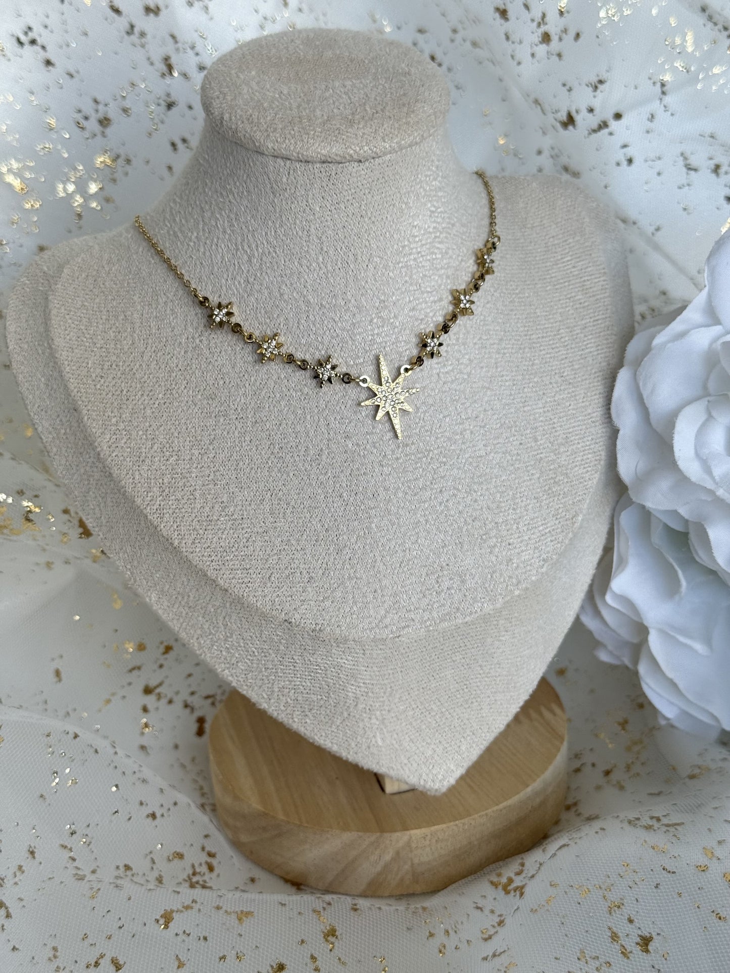 IRIS |Collier en acier inoxydable