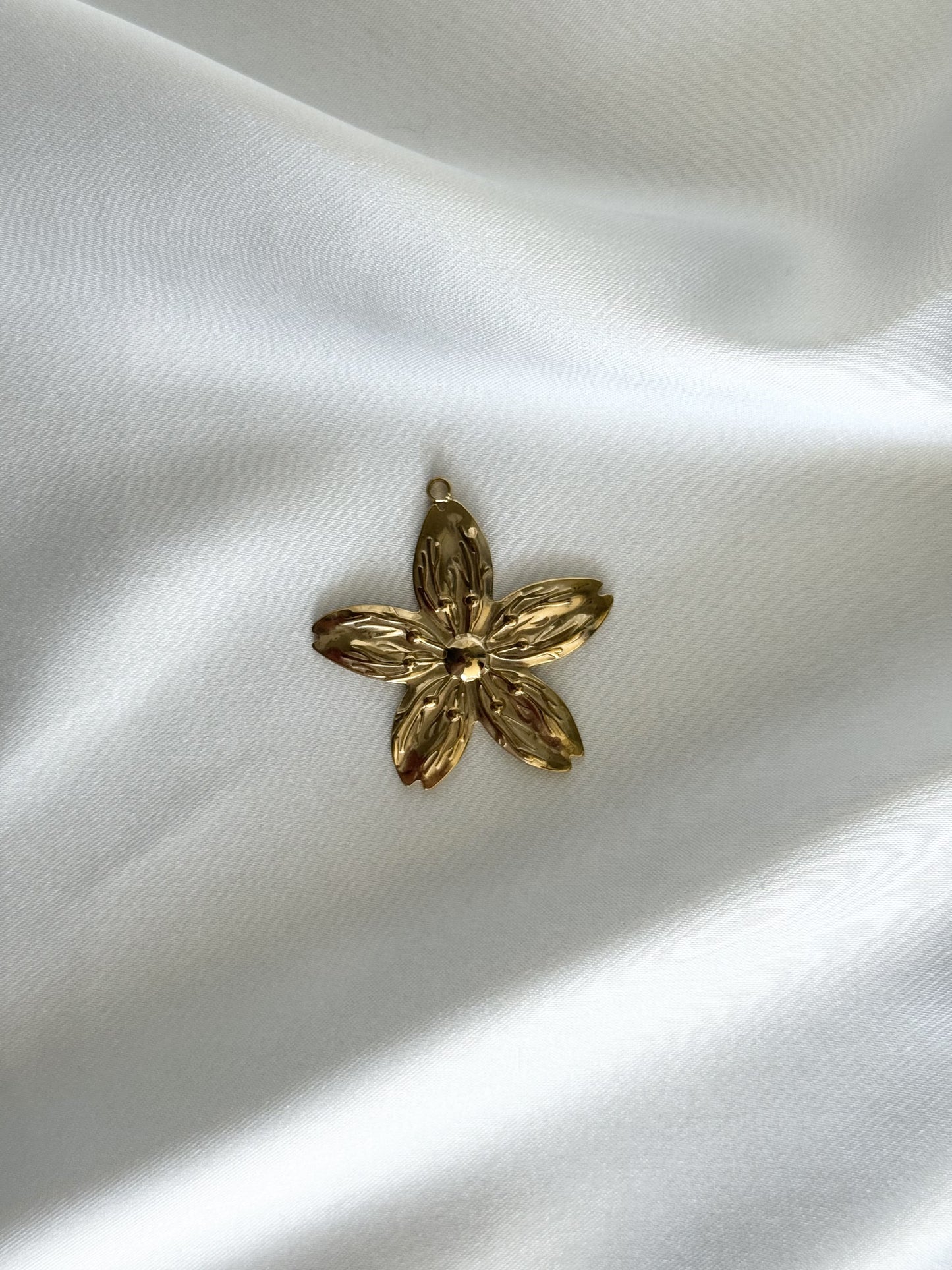 203| Charm en acier inoxydable