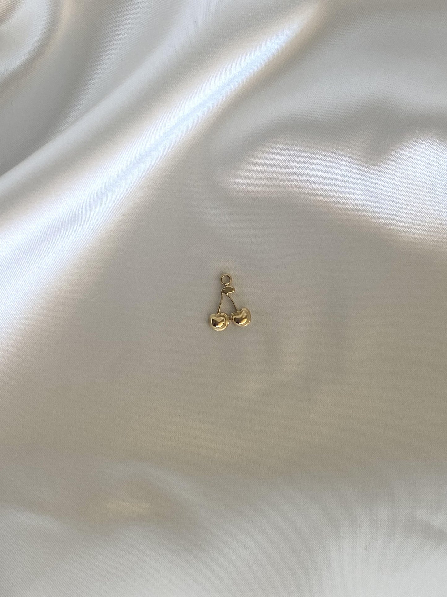 84| Charm acier inoxydable