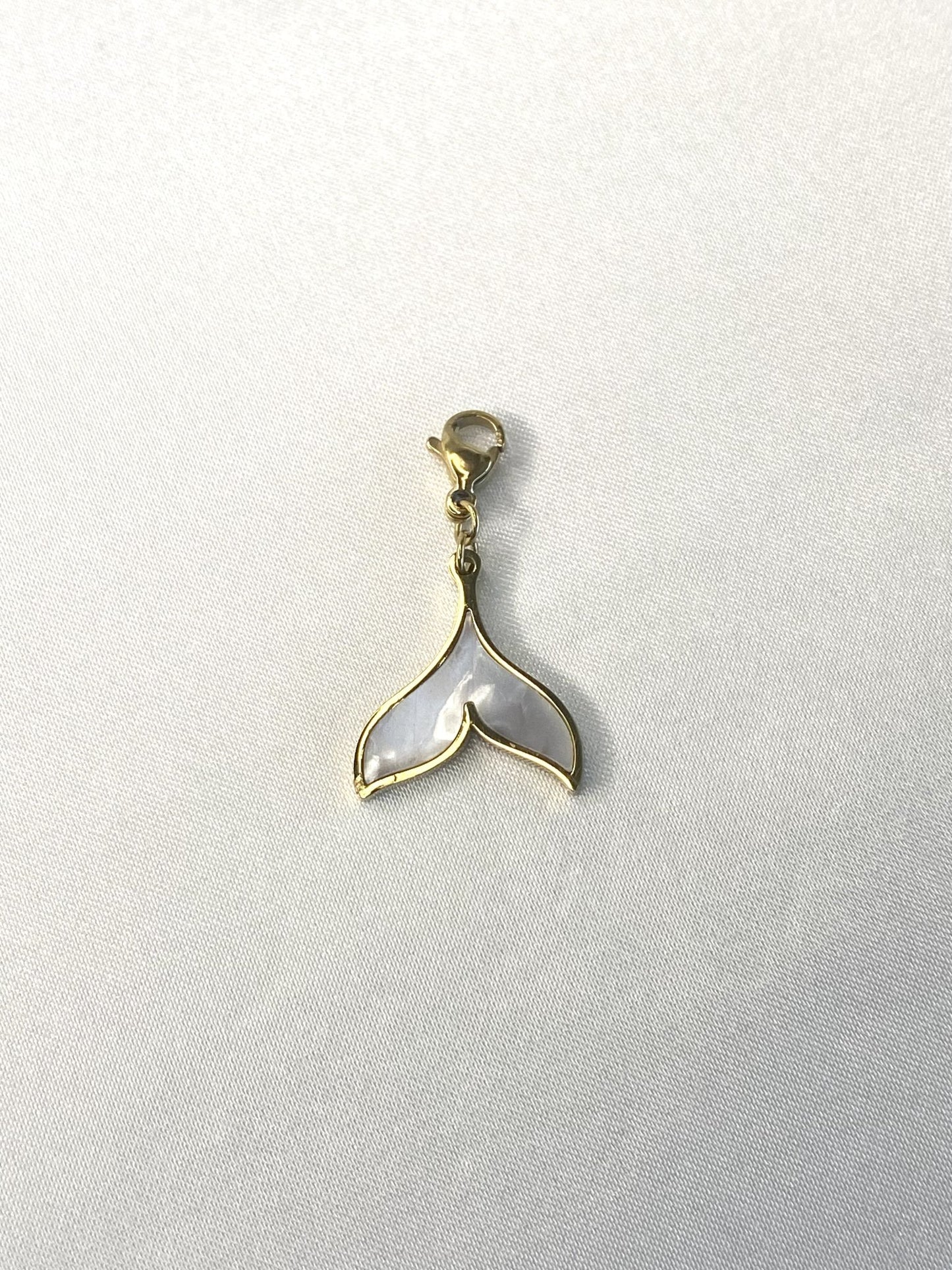 36| Charm acier inoxydable