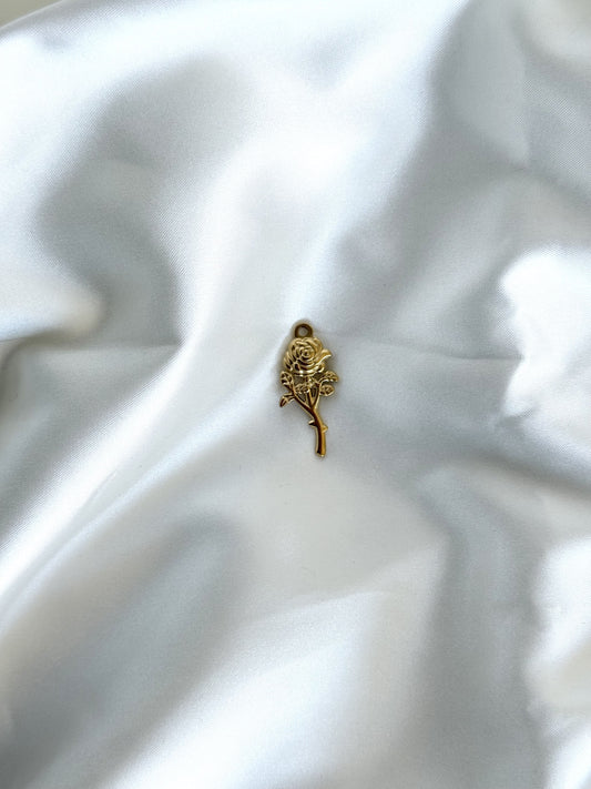116｜ Charm acier inoxydable