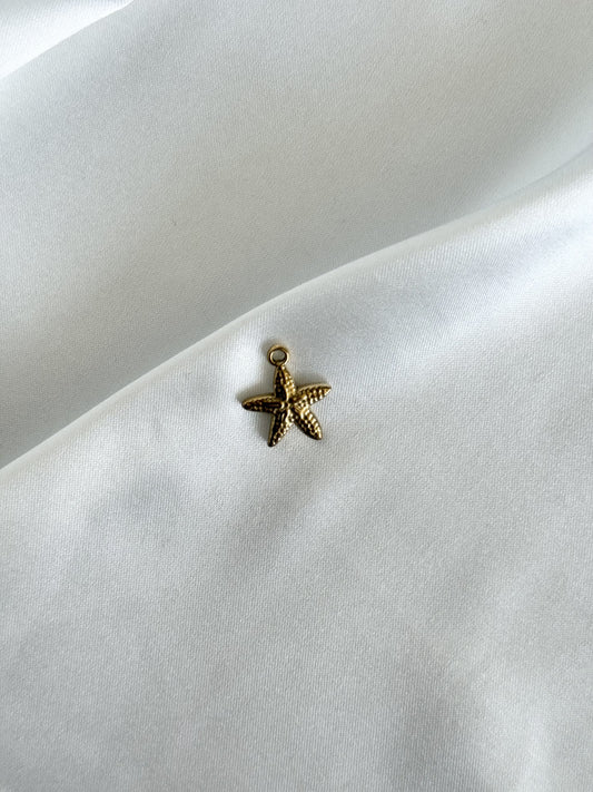 177｜ Charm en acier inoxydable