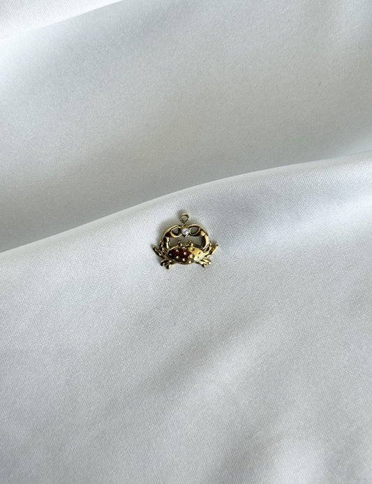 183｜ Charm en acier inoxydable