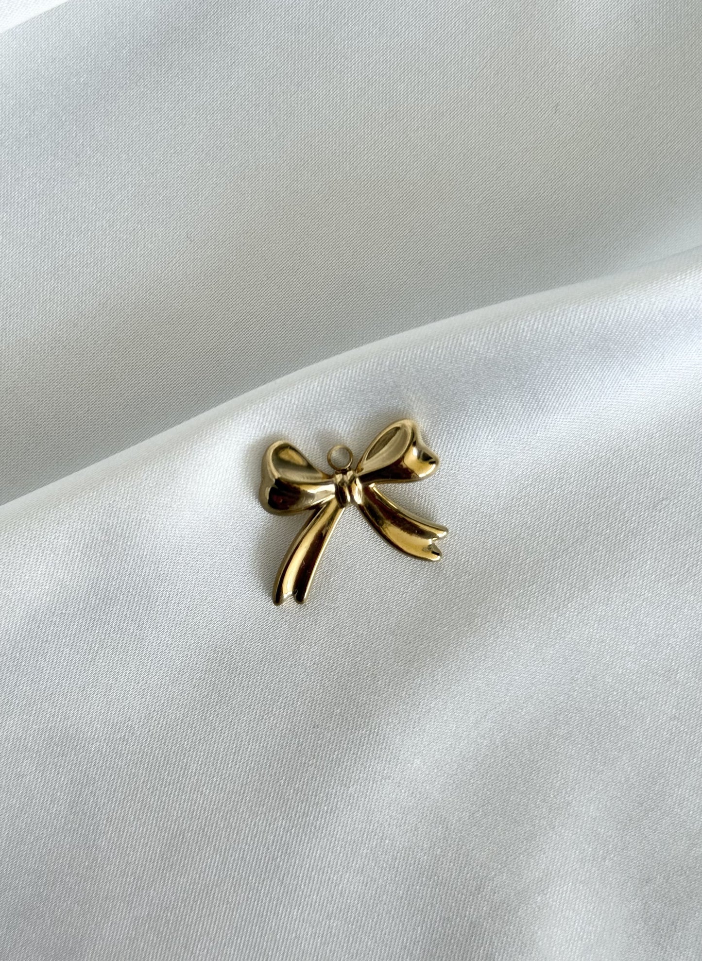 187｜ Charm en acier inoxydable