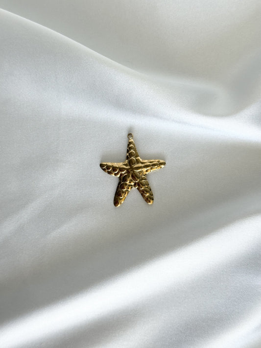 206｜ Charm en acier inoxydable