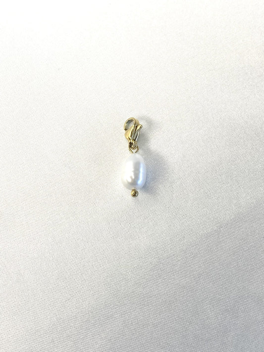 34｜ Charm acier inoxydable