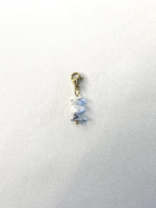 31｜ Charm acier inoxydable